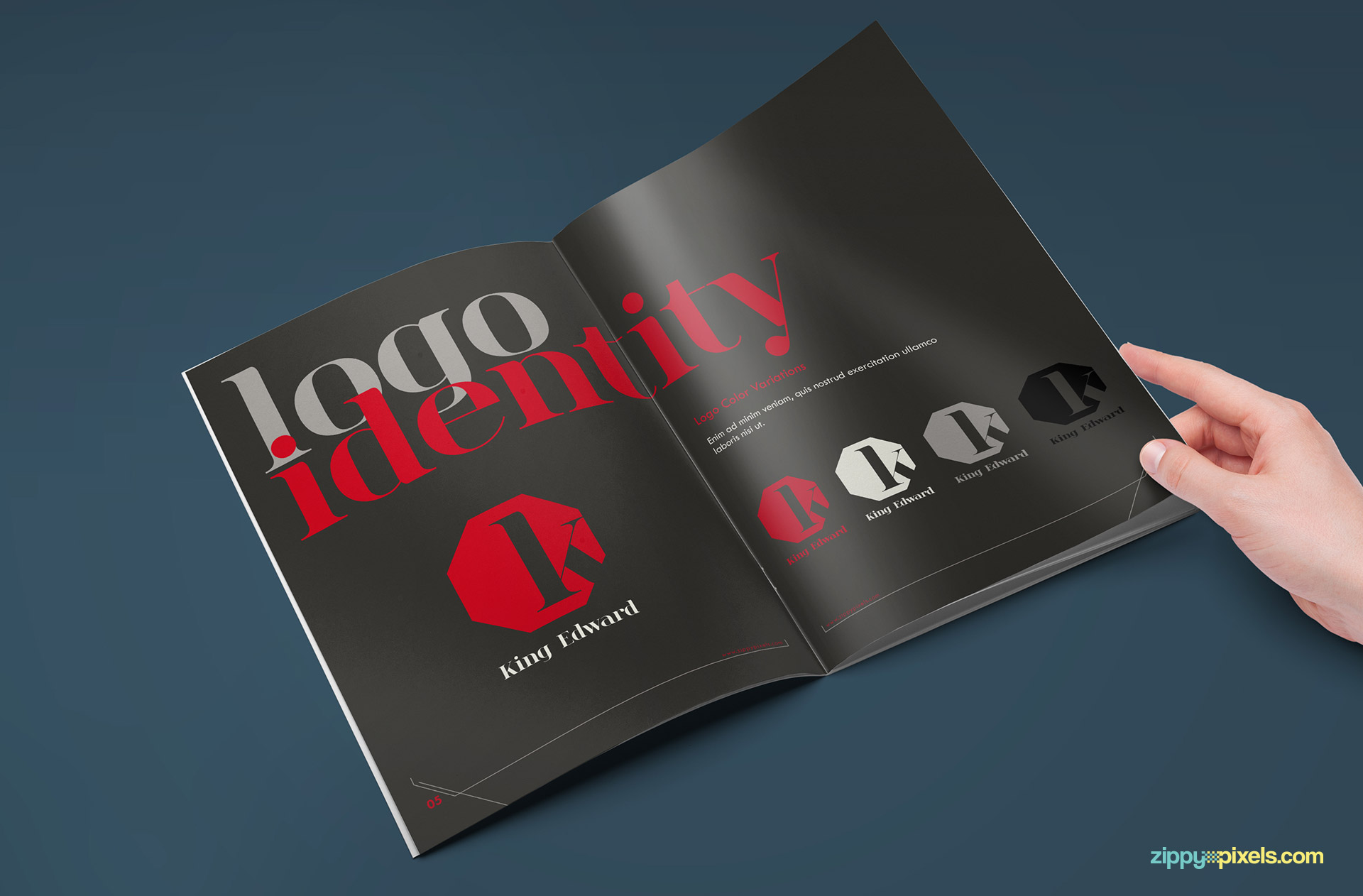 06-brand-book-10-logo-identity