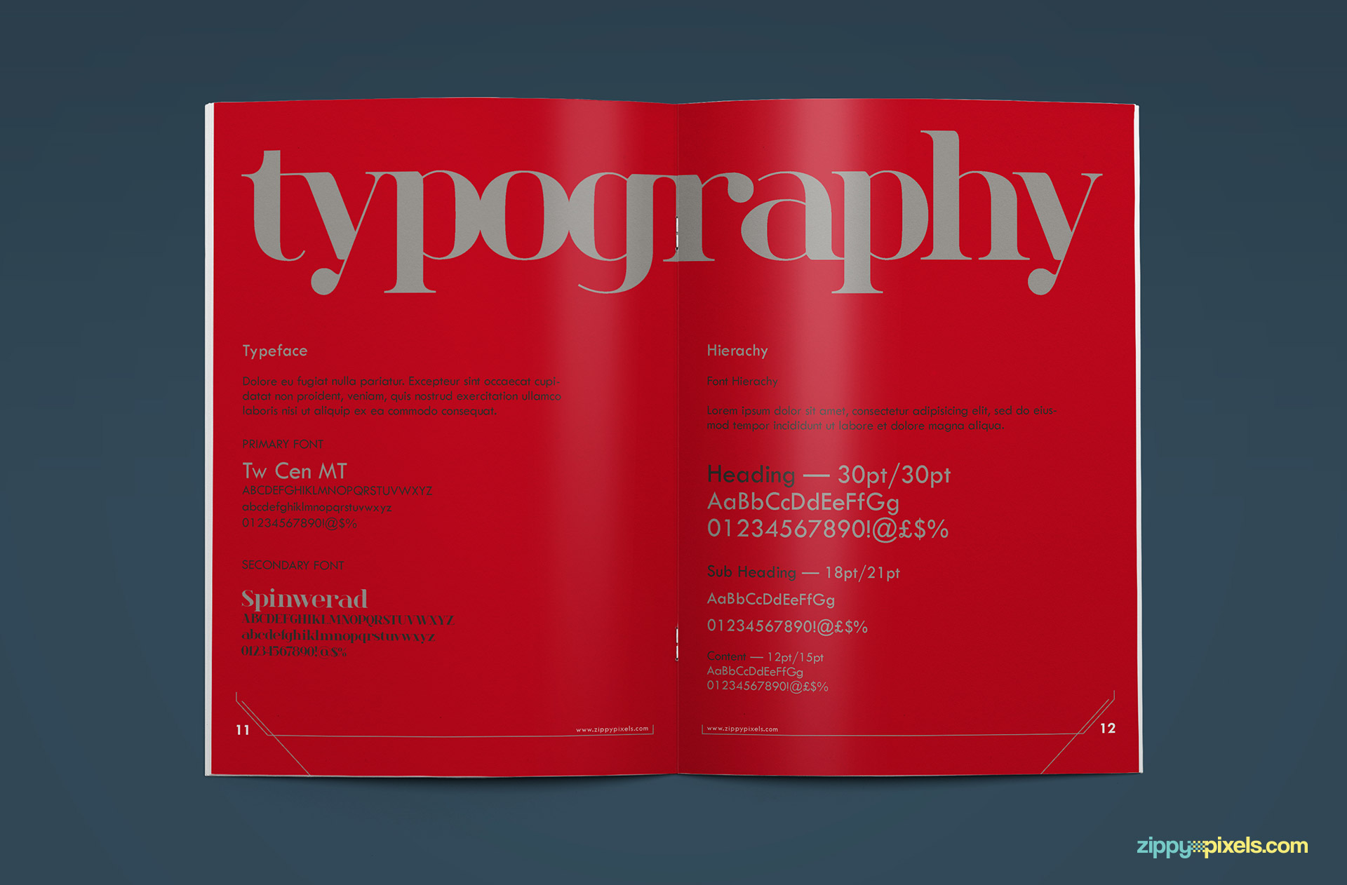 09-brand-book-10-typography