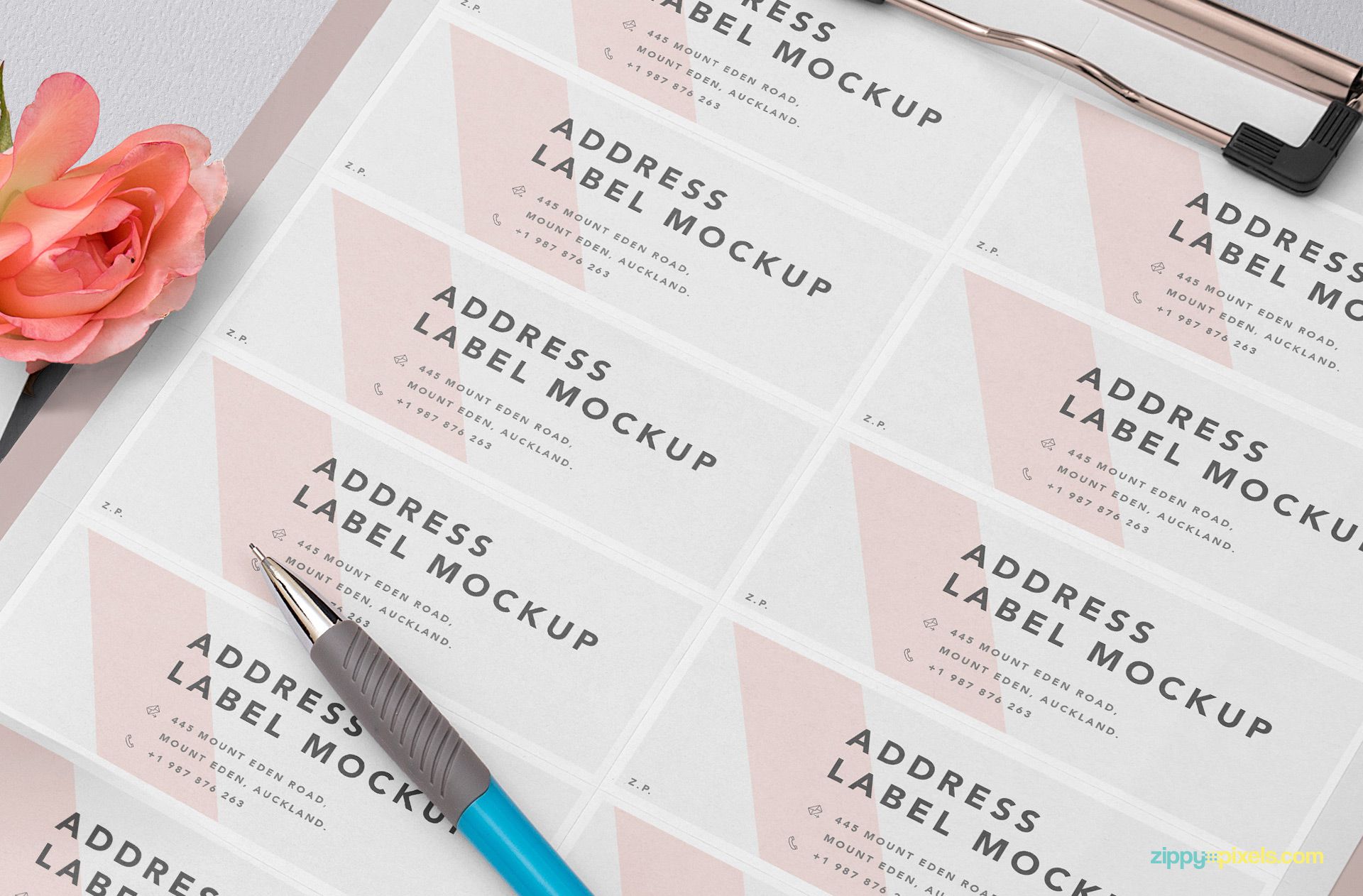 Free address label sheets with multiple labels.